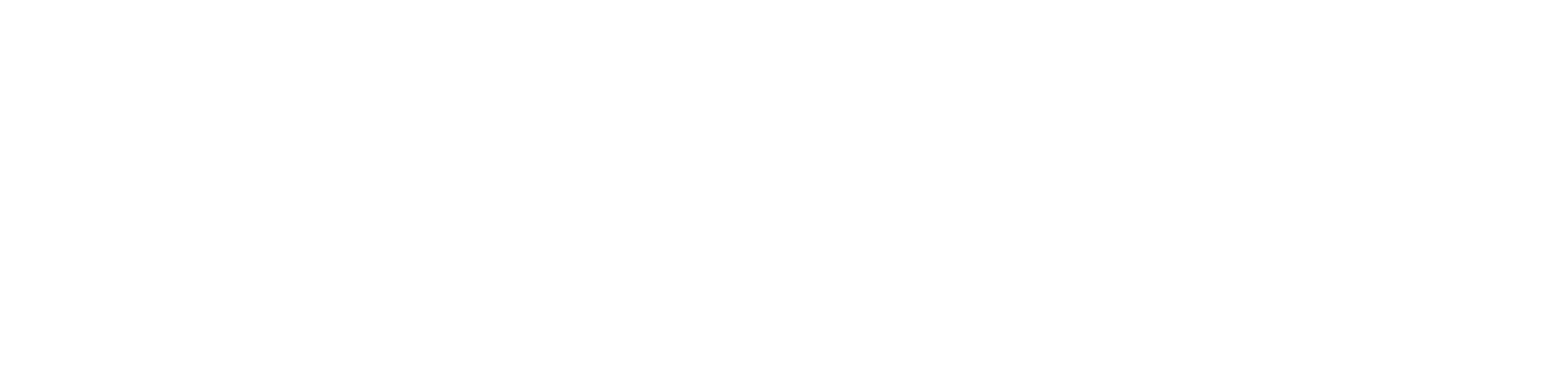 FIGHTBALL